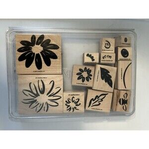 Stampin Up Definitely Decorative Daisy 2-step Stamping Set Wood Mount Retired